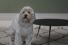 64626_005_preview-68x45