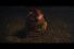 64706_preview-68x45