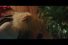 64746_preview-68x45